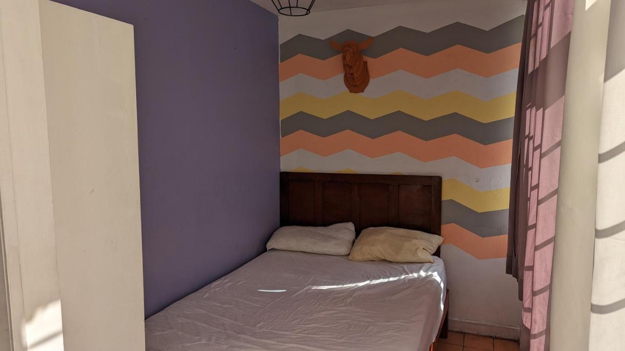 Albergue Blue Pepper Chapultepec Guadalajara