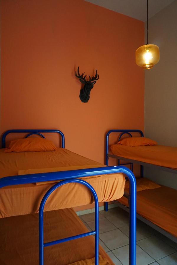 Hostal Blue Pepper Chapultepec *