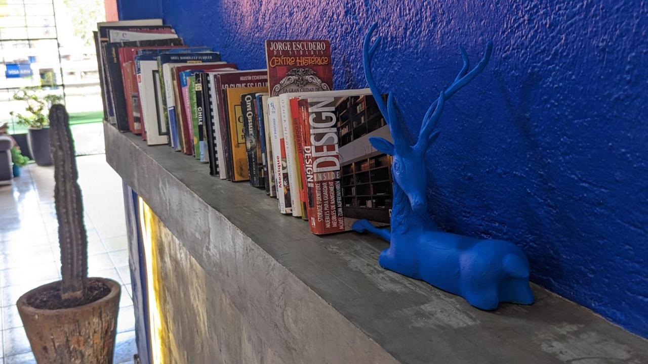 Blue Pepper Chapultepec Hostal