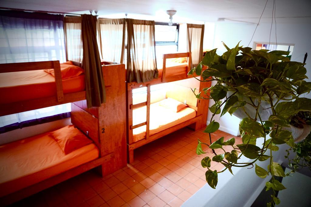 Hostal Blue Pepper Chapultepec *