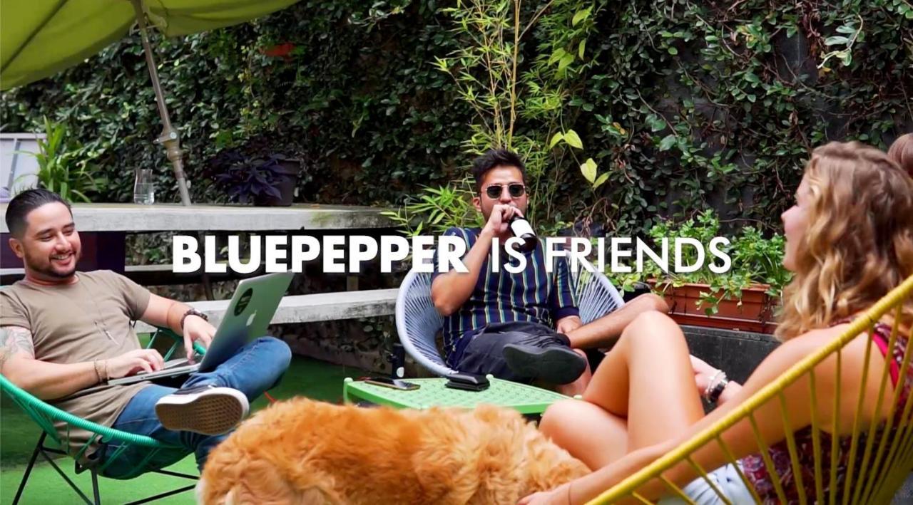 Hostal Blue Pepper Chapultepec *